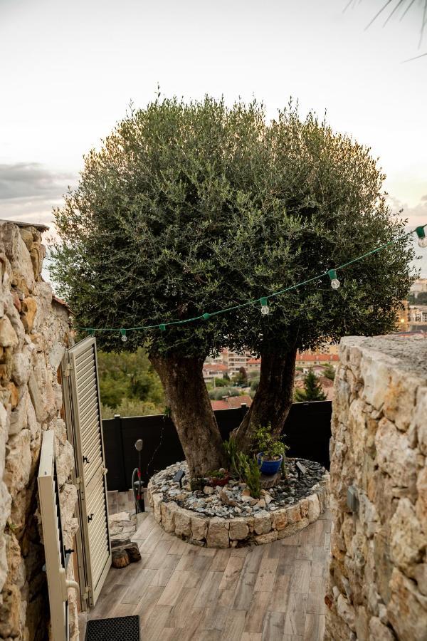 Le Petit Jardin Exotique Villa Beausoleil Kültér fotó