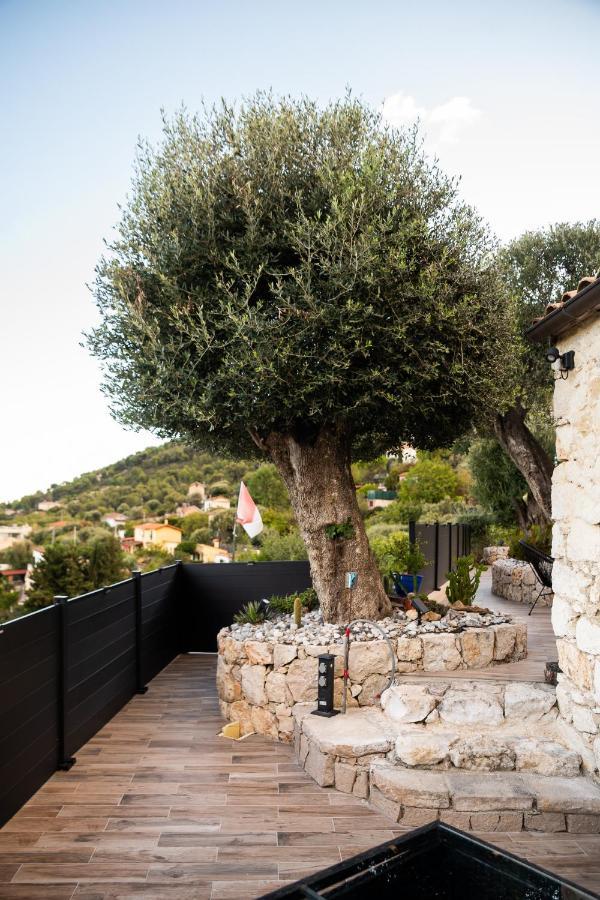 Le Petit Jardin Exotique Villa Beausoleil Kültér fotó